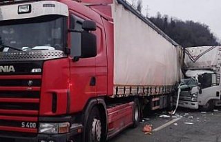 Artvin'de kamyon park halindeki tıra çarptı,...