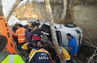 Bayburt'ta şarampole devrilen kamyonetteki 3...