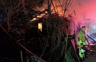 Düzce'de ahırda çıkan yangında 4 büyükbaş...