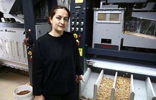 Giresun'da KOSGEB desteğiyle fındık değer...