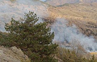 Karabük'te çıkan örtü yangını söndürüldü