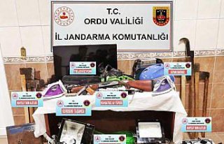 Ordu'da evlerden hırsızlık yaptığı ileri...