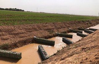 Perdeli yapay sulak alan sistemi tarımda su israfını...