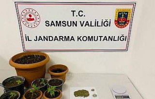 Samsun'da uyuşturucu operasyonunda 1 zanlı...