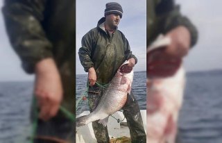 Sinop'ta bir balıkçının ağına 15 kilogramlık...