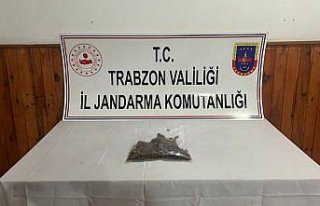 Trabzon'da jandarma ekiplerince uyuşturucu operasyonu...