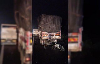 Düzce'de iki kamyon çarpıştı, 1 kişi öldü,...