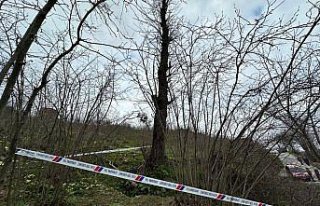 Ordu'da ağaçtan düşen kişi öldü