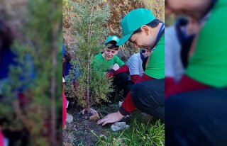 Şalpazarı'nda ortaokul öğrencileri fidan...