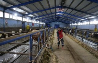 Tokatlı çiftçi TKDK'nin hibe desteğinde 100...