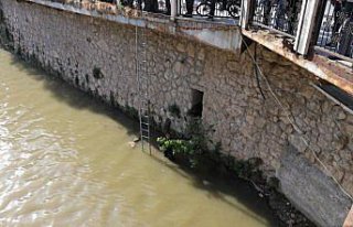 Amasya'da ağlara takılan balığı itfaiye...