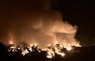 Artvin'de çöp sahasında yangın çıktı