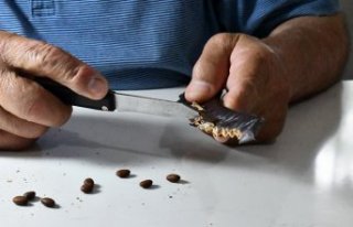 Bitkilerin çekirdek ve tohumlarından tespih, bileklik...