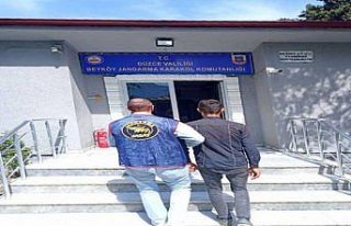 Düzce'de firari hükümlü yakalandı