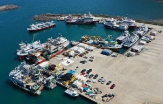 Karadenizli balıkçıları palamut üzdü, hamsi...