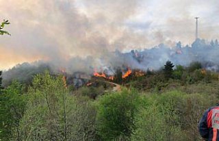 Trabzon-Giresun sınırındaki örtü yangını kontrol...