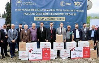 Trabzon'da 3 ton fasulye tohumu 700 dekar alana...