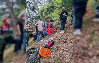 Trabzon'da ormanda çalışırken uçuruma yuvarlanan...