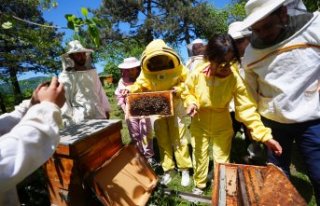 Toz taşınımı bal arılarının iletişimlerini,...