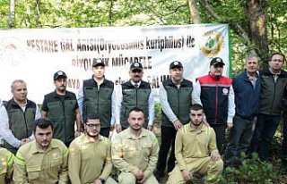 Zonguldak'ta gal arısıyla mücadele için doğaya...