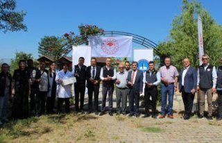 Bartın ve Karabük'te kahverengi kokarca zararlısına...