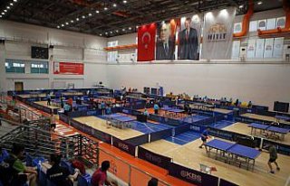 Büyükler Ferdi Masa Tenisi Türkiye Şampiyonası,...