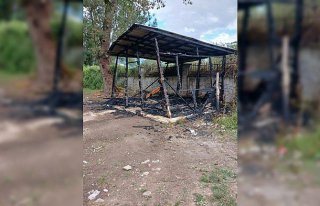 Düzce'de Kültür Park alanındaki kulübede...