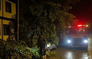 Kastamonu'da şiddetli fırtına etkili oldu