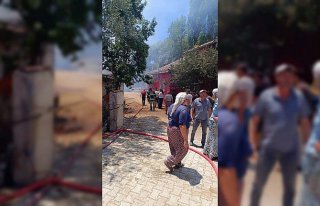 Tokat'ta çıkan yangında 2 büyükbaş hayvan...