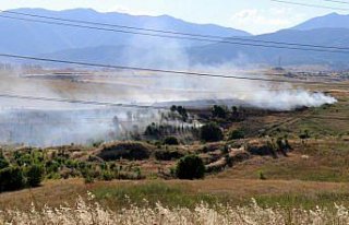 Karabük'te otluk ve ağaçlık alanda çıkan...