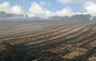 Bafra'da anız yangını yaklaşık 100 dönüm...