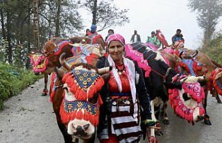 Doğu Karadeniz yaylalarında besicilerin dönüş...