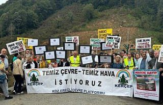 Düzce'de bazı STK'lerden Kaplandede Dağı'nda...