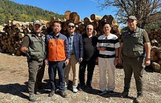 Güney Koreli ormancılar, Bolu'da incelemelerde...