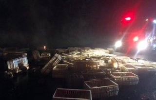 Anadolu Otoyolu'nda kamyonda çıkan yangında...