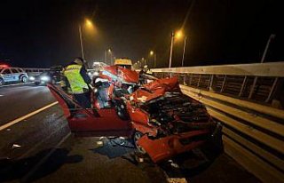 Anadolu Otoyolu'nda tıra çarpan otomobildeki...