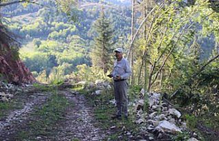 Artvin'de Kutlu köyü bağlığı ve civarındaki...