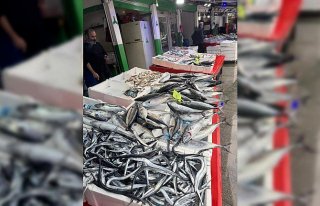 Giresunlu balıkçılar palamut avından memnun