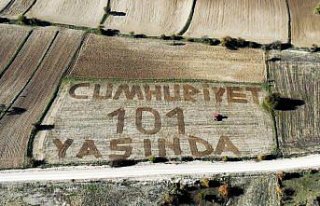 Karabüklü genç çiftçi, tarlasına traktörüyle...