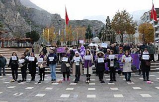 Amasya'da kadına yönelik şiddete karşı “mor...