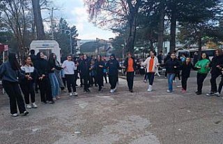 Gerede'de kermes ve sokak lezzetleri şenliği...