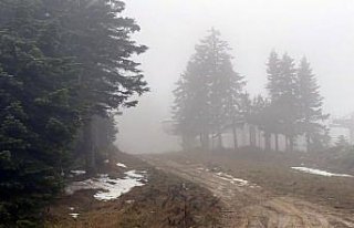 Ilgaz Dağı'nda sis etkili oldu