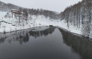 Ordu'nun doğal güzelliğiyle ünlü Ulugöl...