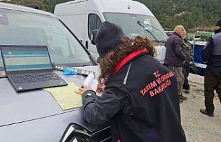 Sinop'ta mevzuata aykırı avlanan yaklaşık...