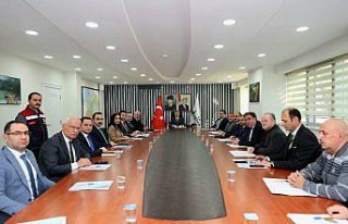 Artvin'de kahverengi kokarca ile mücadele çalışmaları...