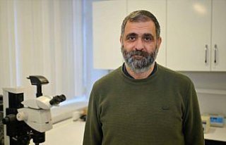 Genetik bilimi, insanda biyolojik anlamda 