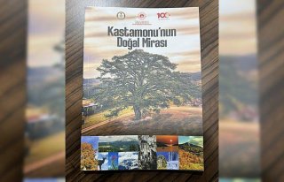 Kentin güzellikleri “Kastamonu'nun Doğal...