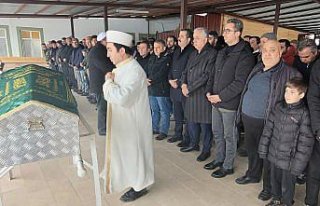 Vali Yardımcısı Cinbir, hayatını kaybeden bedensel...