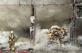 Düzce'de yumurta üretim tesisinde çıkan yangın...