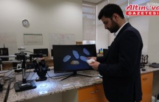 Pirinç türlerini tespit edebilen yapay zeka destekli...